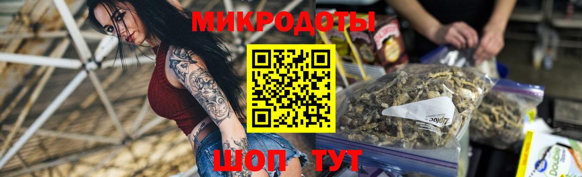Псилоцибиновые грибы Psilocybe Арзамас