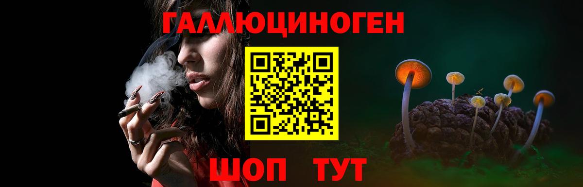 Псилоцибиновые грибы Psilocybine cubensis  Вход с VPN  Арзамас 
